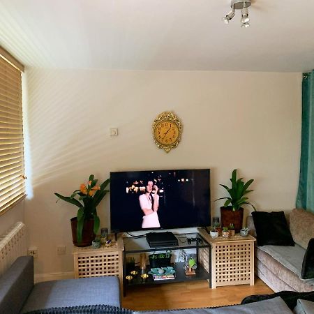 Garden Beautiful Cozy Flat , Recent Decorated. Apartman London Kültér fotó