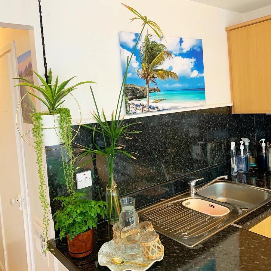 Garden Beautiful Cozy Flat , Recent Decorated. Apartman London Kültér fotó