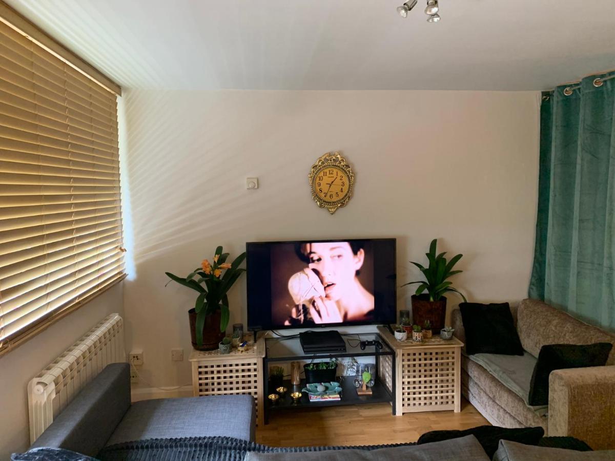 Garden Beautiful Cozy Flat , Recent Decorated. Apartman London Kültér fotó