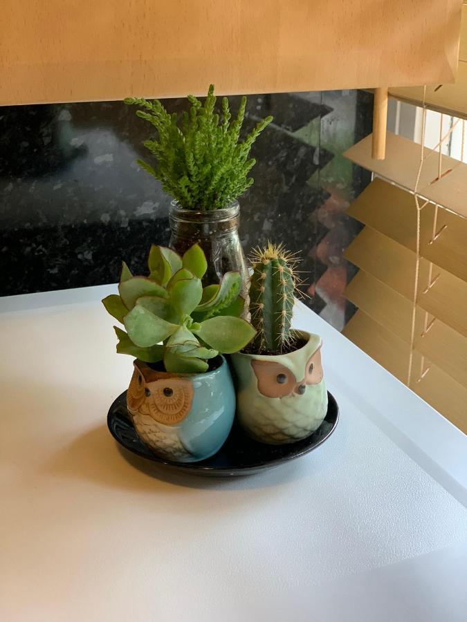 Garden Beautiful Cozy Flat , Recent Decorated. Apartman London Kültér fotó
