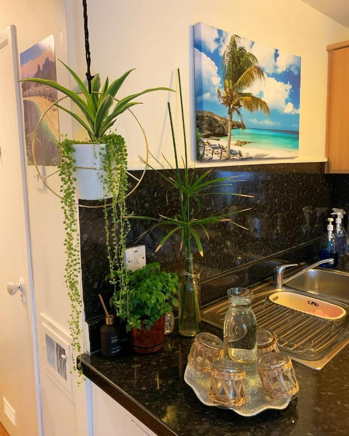 Garden Beautiful Cozy Flat , Recent Decorated. Apartman London Kültér fotó